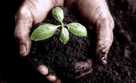 hands-in-compost