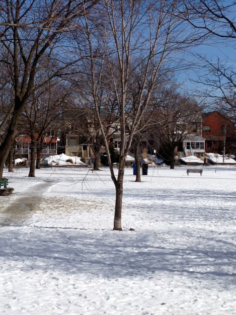 Even the trees are anxious for spring!
