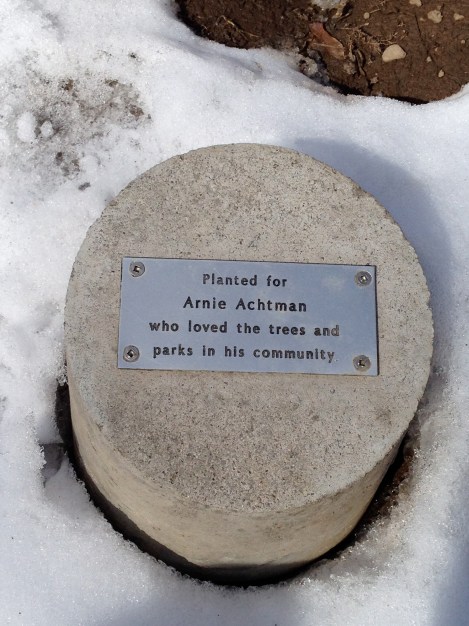 Dedication marker at the base of Arnie's Maple tree.