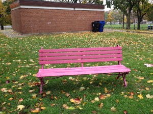 The popular purple benches in Fred Hamilton Park